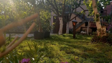 "ZLATNI POLJUBAC DANA U SELU MORAVAC" Predsednik Vučić objavio fotografiju najlepšeg domaćinstva Srbije