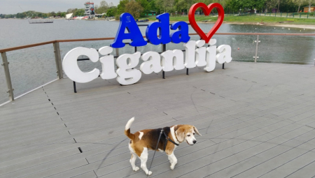 POREZ NA PSE? Novi predlog uznemirio vlasnike, ali neki misle ako se primeni da bi to bila prava stvar