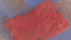 SRPKINJA NAŠLA OVO NA POSLU, PA SE UPLAŠILA "Nikako ne diraj rukama, baci u reku ili zapali!"