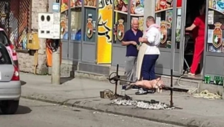 KO HOĆE, NAĐE NAČIN! Ovako se peče prase ispred prodavnice