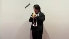 GLAD NEMA OČI Studen pojeo bananu vrednu 120.000 dolara, od eksponata ostala samo kora