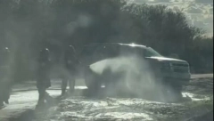 MAJKU SA DECOM NAPALE PČELE UBICE Jezivi snimci, vatrogasci pokušali da ih spasu od roja! (VIDEO)