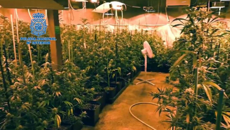 VELIKA ZAPLENA DROGE U ITALIJI: Uhapšena dvojica Albanaca, droga vredna preko 350.000 evra