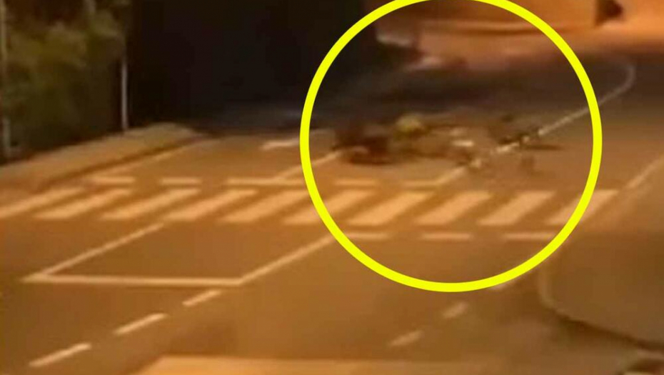 POGLEDAJTE KAKAV ČOPOR DIVLJIH SVINJA TUMARA HRVATSKOM Žena koja snima uspela da izgovori samo jedno (VIDEO)