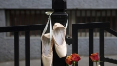 OSAM DUŠA NASTRADA ISTOG TRENA... Potresni stihovi o nastradalim đacima: Zaplakala bi i granitna stena