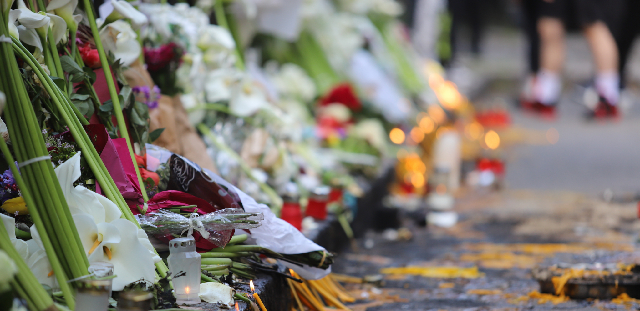 SMIRENO I BEZ POMPE Predsednik najavio rešenje za Ribnikar: Važno je čuti glas roditelja!