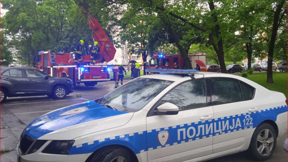 NENAD GRBIĆ IMAO UDES! Odbornik je bio sa sinom kad ih je on "pokosio"