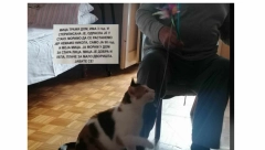 PRONAŠLI SMO DEKU IZ ZEMUNA ČIJI JE OGLAS RASPLAKAO SRBIJU "Sve sam ovo uradio zbog pokojne supruge"