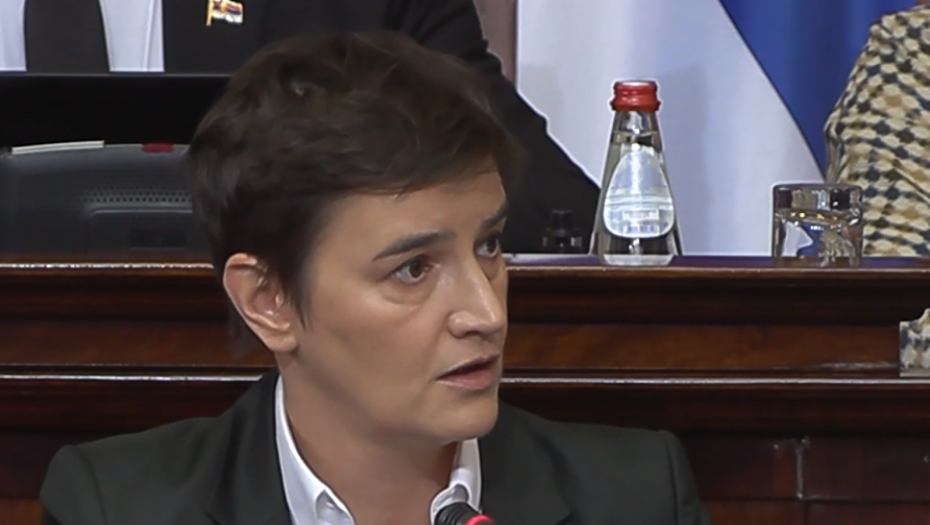 BRNABIĆ: Niko nije dobio otkaz u javnom preduzeću zbog odlaska na neki protest