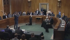 EVO KO STOJI IZA NAPADA U SENATU NA SRBIJU I VUČIĆA Arminka Helić - tvorac rezolucije o genocidnim Srbima! (FOTO)