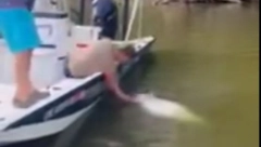 PECAROŠ UPECAO MONSTRUMA IZ JEZERA I SPREČIO KATASTROFU! Na sonaru primetio neman i odmah je počela borba! (VIDEO)