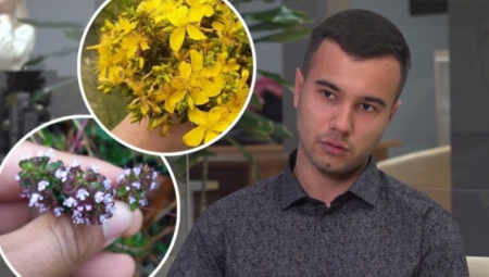 MANITE SE PILULA Travar Marko tvrdi da je ovo najjača biljaka za smirenje - luči hormon sreće