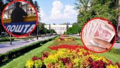 KAKO DO 5.000 DINARA OD DRŽAVE? Evo šta vam je sve neophodno, prijava kreće za dva dana