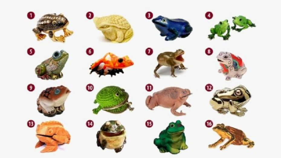 SIMBOL BOGATSTVA Izaberite jednu žabu i saznajte kako da najlakše dođete do novca