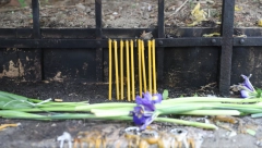 VREME TUGE Mesec dana od masakra na Vračaru, u Duboni i Malom Orašju: Majke žale što su žive