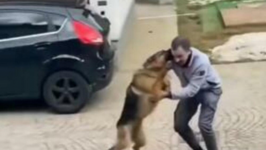 DIRLJIV SUSRET PSA I NJEGOVOG VLASNIKA NAKON 3 GODINE Reakcija životinje nikog ne ostavlja ravnodušnim (VIDEO)