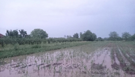 VANREDNA SITUACIJA! U Jagodini tri sata neprekidno pljuštalo kao iz kabla: Pod vodom Hitna pomoć i Urgentni centar