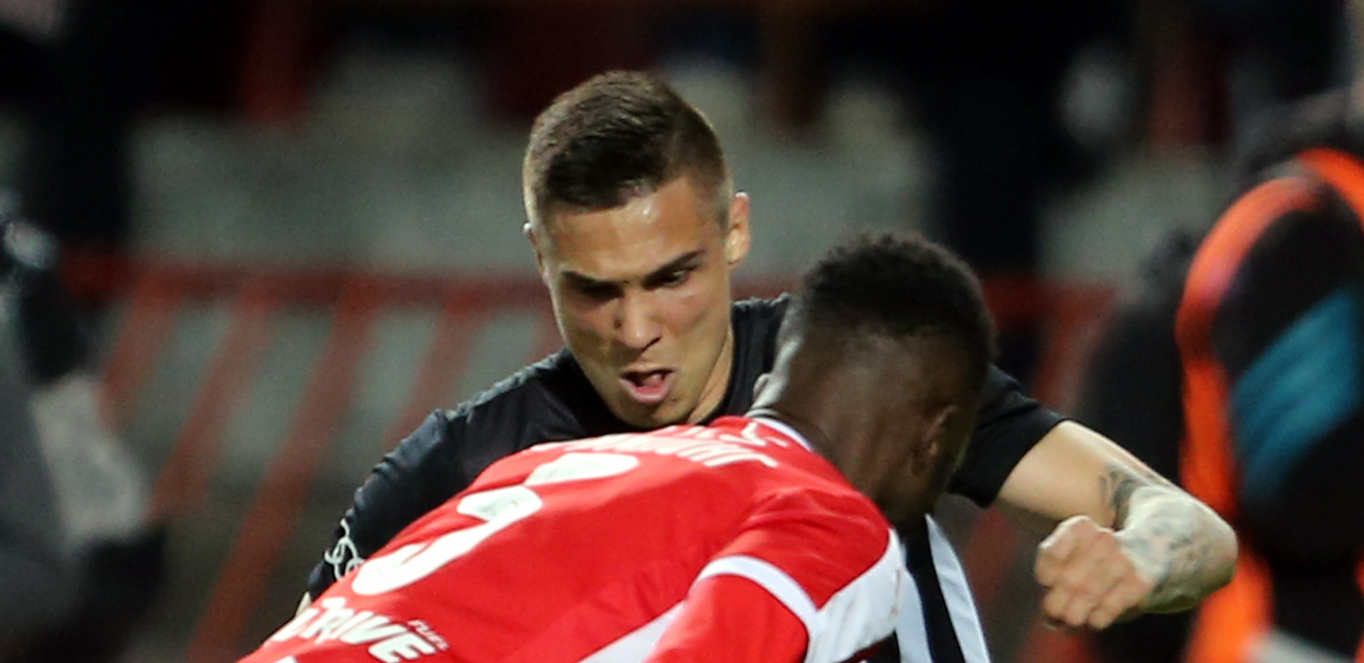 "GROBARI" NA NOGAMA Ljubimac navijača posetio Humsku, na pomolu veliki povratak?