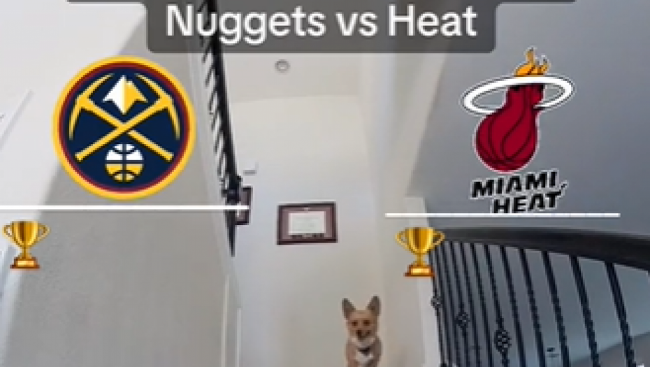 ČUVENI PAS ZNA KO OSVAJA ŠAMPIONSKI PRSTEN Korgi je odlučio, oni će biti prvaci NBA lige, evo šta prognozira za Nikolu Jokića (VIDEO)