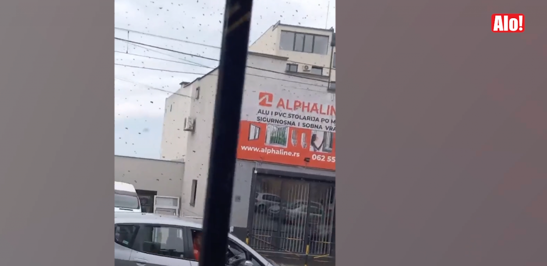 ROJ PČELA NAD BEOGRADOM, STANOVNICI PREPLAŠENI Sa vrha zgrade spustile se na ulicu i prolaznike (VIDEO)