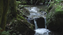 MEŠTANI U STRAHU DA SE PROROČANSTVO TARABIĆA NE OSTVARI: Slučajno pronađen čudesan izvor u Srbiji (FOTO)