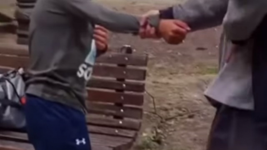 SRAMNA ODBRANA NASILNIKA SA KALEMEGDANA Siledžija negirao krivicu