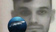 TIGAR AJKULA JEDNA OD NAJOPASNIJIH ZA LJUDE Juče je ubila Rusa u Hurgadi, nastanjuje sva mora u kojima se ljudi kupaju!