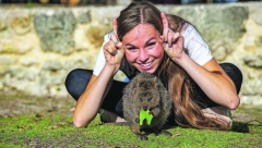 Proglašena NAJSREĆNIJA ŽIVOTINJA NA SVETU a to nije bogataška ni kuca ni maca