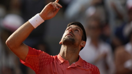 HRVATIMA SMETA ŠTO SE NOVAK RADUJE Susedi iz bizarnog razloga udarili na Đokovića (FOTO)