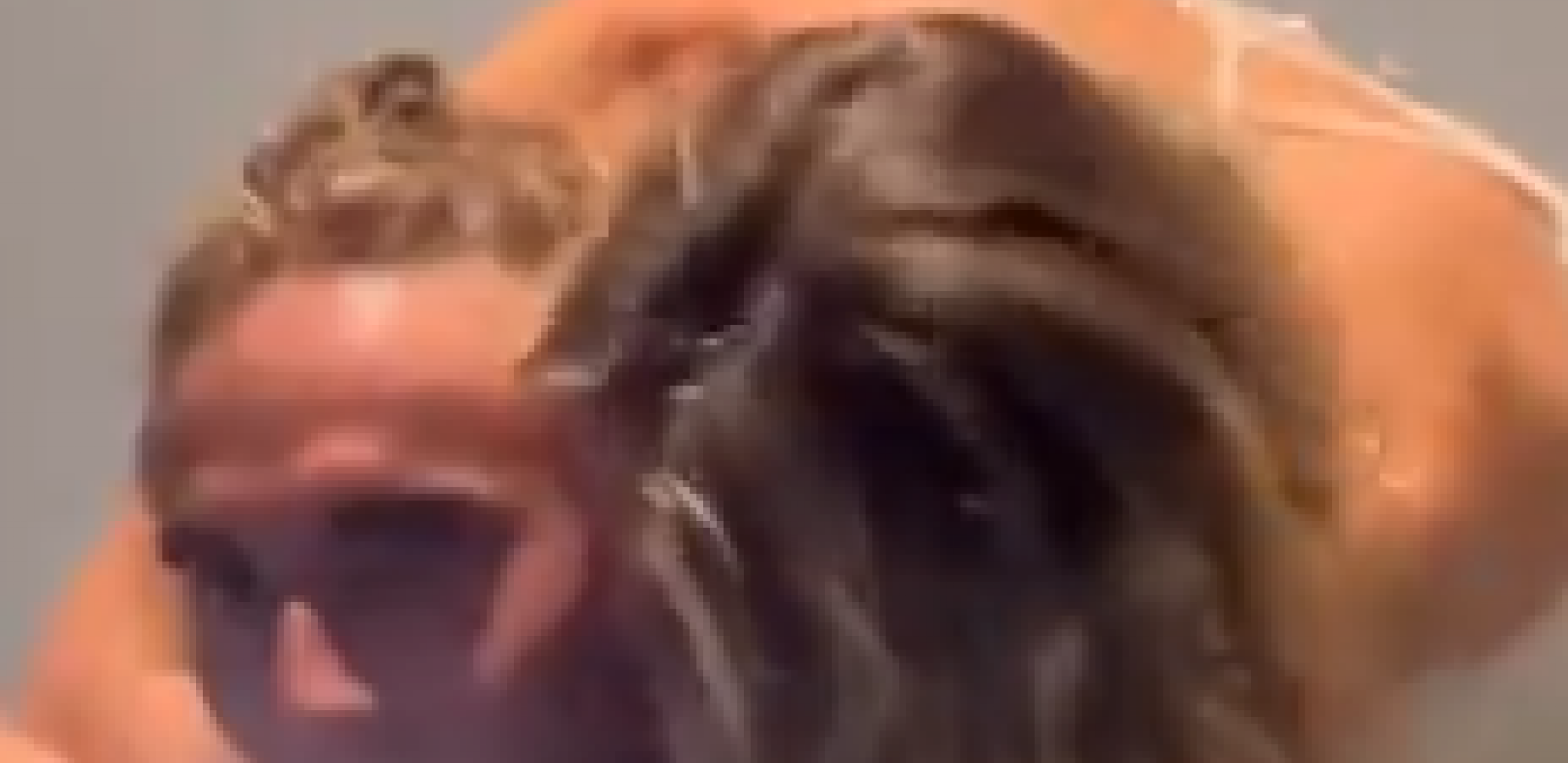 REŠILI SU DA SVE OTKRIJU Tenis je dobio novi ljubavni par, Grk i Špankinja sve obelodanili (VIDEO)