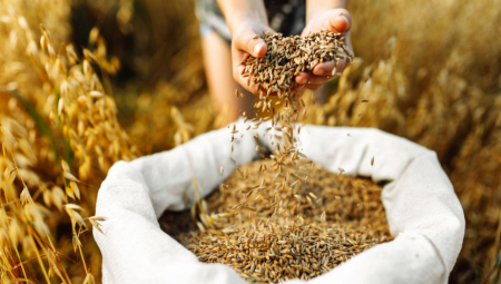 JAŠAR GULER NAKON SASTANKA NATO MINISTARA Turska smatra važnom implementaciju crnomorske inicijative za žito
