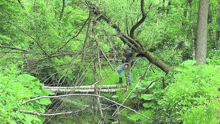 KRAJA NEMA Grad veličine oraha potpuno uništio maline i drugo voće: Bujica odnela most, uništeni usevi
