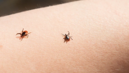 NASTAVLJA SE AKCIJA SUZBIJANJA KRPELJA! Zna se kad i na kojim lokacijama