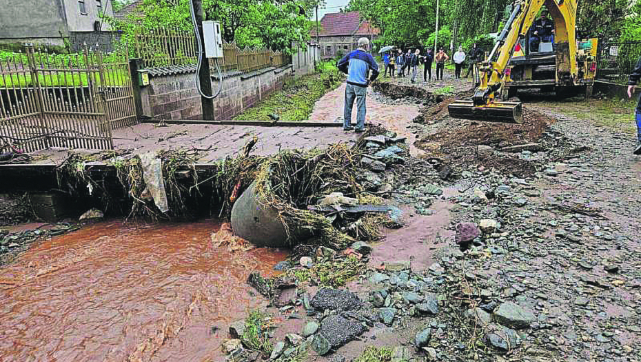 UŽASNE POSLEDICE SUPERĆELIJSKIH OLUJA U SRBIJI Stručnjaci izneli prognozu: Trebaće decenije, evo kolika je šteta