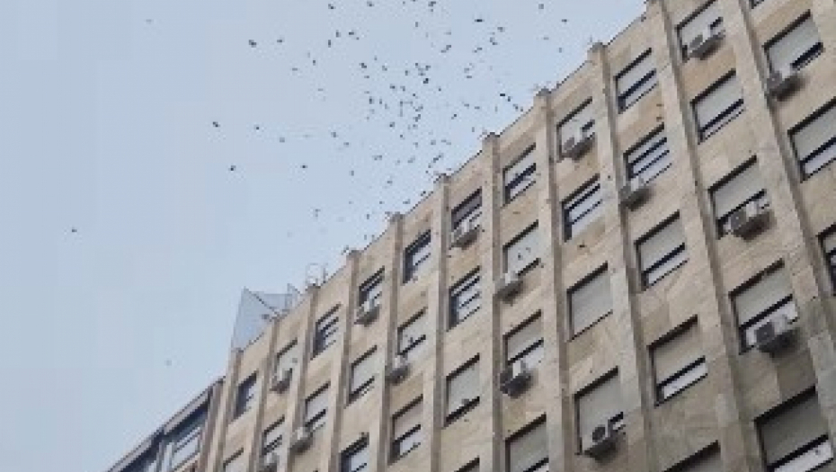 NOVAC PADAO BUKVALNO SA NEBA Ljudi u centru Beograda šokirani, neki se ukopali, drugi potrčali da skupe što više