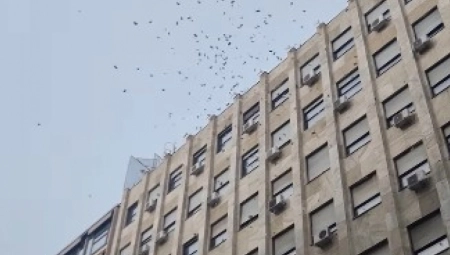 NOVAC PADAO BUKVALNO SA NEBA Ljudi u centru Beograda šokirani, neki se ukopali, drugi potrčali da skupe što više