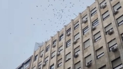 NOVAC PADAO BUKVALNO SA NEBA Ljudi u centru Beograda šokirani, neki se ukopali, drugi potrčali da skupe što više