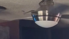 UMRO BIH NA LICU MESTA Ljudi redom vrište dok gledaju užasavajući snimak - Nije za one sa slabim srcem