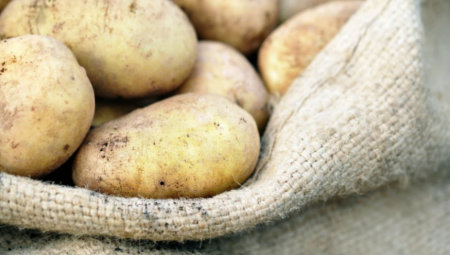 RASTU CENE HRANE U ZEMLJAMA EVROPSKE UNIJE Krompir poskupeo za 60 odsto, maslinovo ulje za 75 odsto