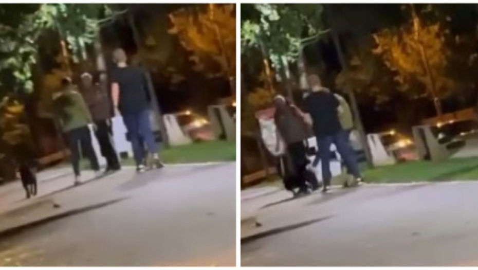 ŠUTNUO PSA U GLAVU PA NAPAO VLASNIKA Stravične scene nasilja u centru Beograda (VIDEO)