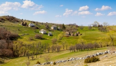 OVA VOĆKA U SRBIJI OBARA SVE REKORDE Crno zlato zamenilo je crveno, prošle godine je ovo voće dostiglo rekordnu cenu!