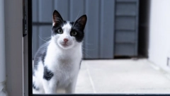 USELJAVATE SE U NOVI STAN Evo ko po verovanju treba da prvi pređe kućni prag