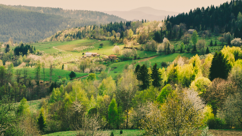 OTKRIJTE PRIRODNE BLAGODETI SRBIJE Rezervati biosfere Bačko Podunavlje i planina Golija
