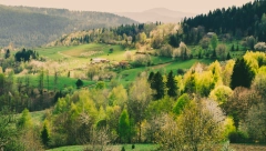 OVA SRPSKA PLANINA JE NOVA ATRAKCIJA Sve ostale pale u drugi plan, dolaze i stranci, a evo šta se ovde nikako ne propušta!