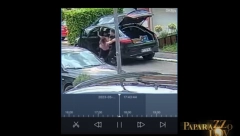 ISPLIVAO SNIMAK NAPADA NA JELENU RADANOVIĆ! Bivši muž je počupao za kosu i bacio na pod (VIDEO+FOTO)