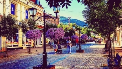 I LOKALCI U ČUDU: U ovom gradu na jugu desio se bum sa nekretninama, a cene kao u prestonici