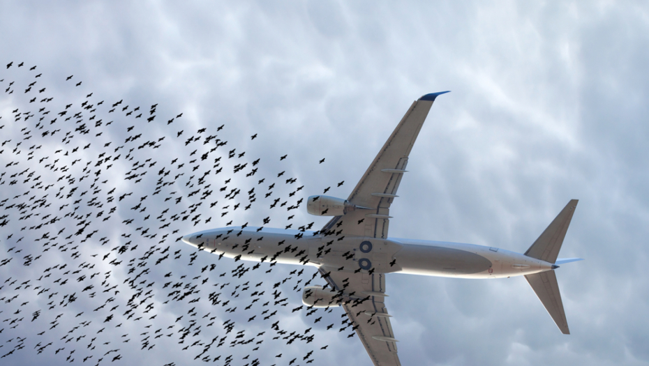 PIJANI PUTNIK POKUŠAO DA OTVORI VRATA NA AVIONU TOKOM LETA Drama na nebu