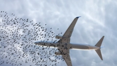 INDONEZIJA SKLOPILA UGOVOR VREDAN 300 MILIONA DOLARA Ministarstvo odbrane se oglasilo