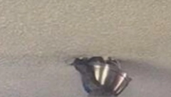 ČOVEK GLEDAO TV, A ONDA JE IZ PLAFONA KRENULA DA IZLAZI OPASNA ZVER (VIDEO)