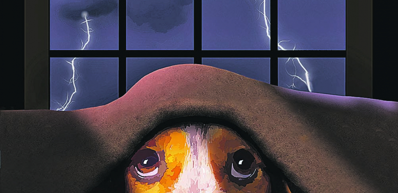 GRMLJAVINA STRESIRA VAŠEG LJUBIMCA Trikovi kako da mu pomognete da prebrodi strah od nevremena